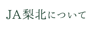 ＪＡ梨北について