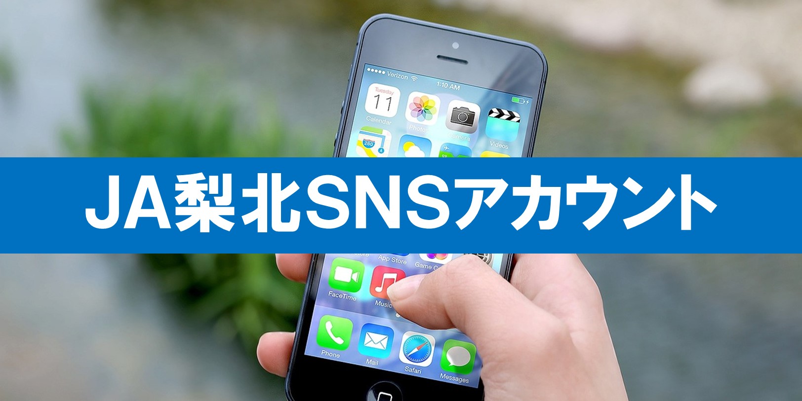 SNSアカウント