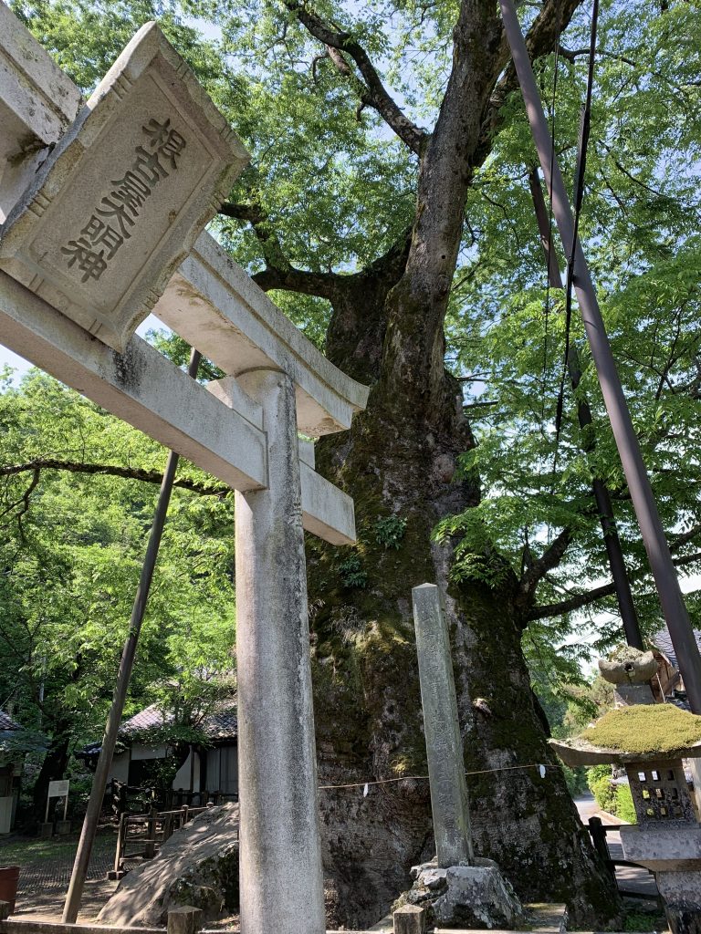 根古屋神社　中